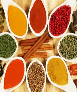Spices Of Kerala India paint by number