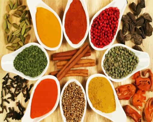 Spices Of Kerala India paint by number
