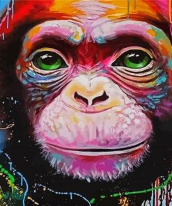 Splatter Monkey paint by number