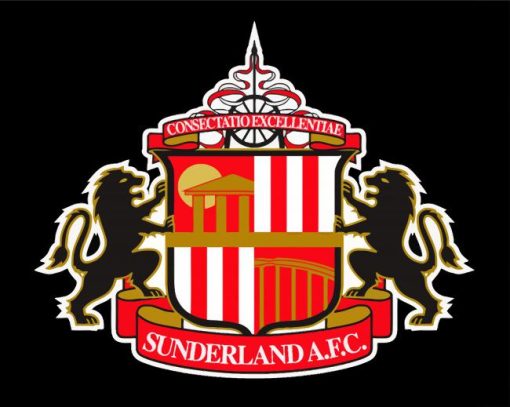 Sunderland AFC Logo paint by numbers