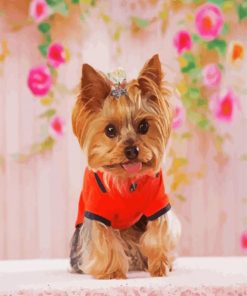 Teacup Yorkie Puppy paint by numbers