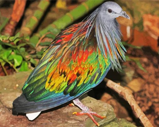 Tropical Pigeon Dove paint by number