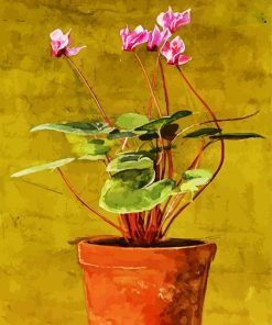 Vintage Pink Cyclamen paint by number