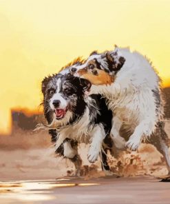 Wet Collies paint by numbers