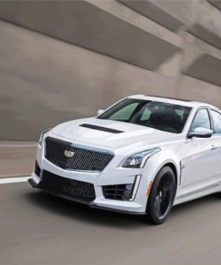 White Cts V paint by number