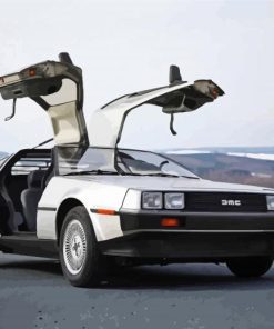White Delorean paint by number