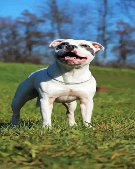 White Staffordshire Bull Terrier paint by number