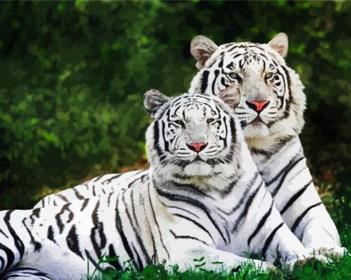 Whitetigers paint by numbers