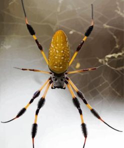 Yellow Spider paint by number