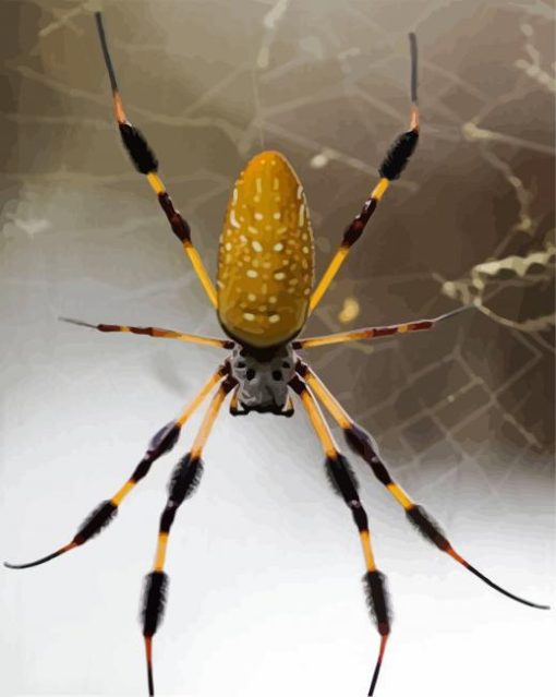 Yellow Spider paint by number