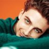 Actor Timothee Chalamet paint by number