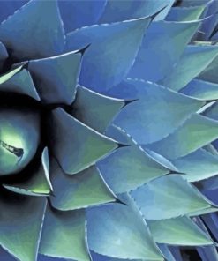 Agave Plant paint by numbers
