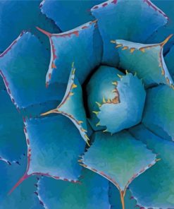 Agave With Thorns paint by numbers