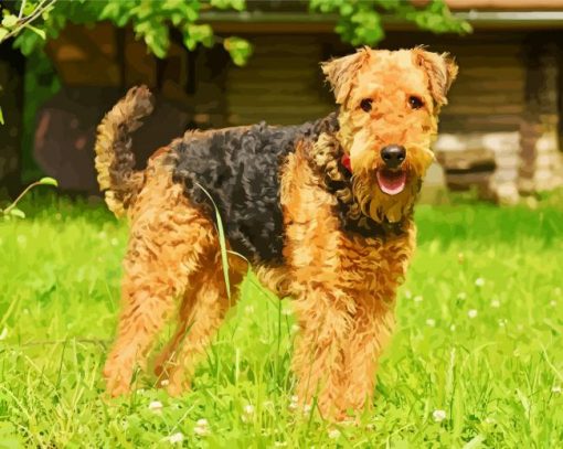 Airedale Terrier Dogs paint by number