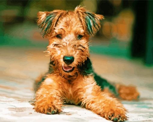 Airedale Terrier paint by number