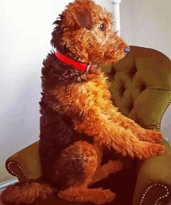 Airedale Terrier Sitting paint by number