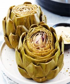 Artichokes paint by numbers