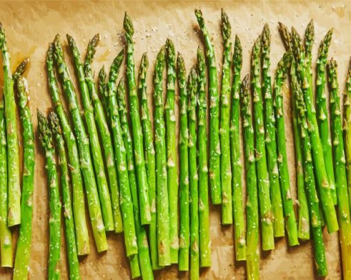 Asparagus Vegetable paint by numbers
