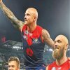 Australian Football League Players paint by numbers