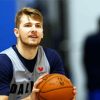 Basketball Player Luka Doncic paint by number