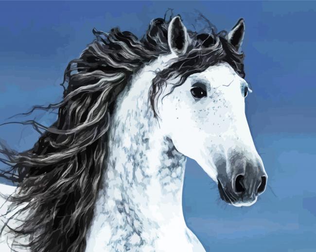 Beautiful Andalusian Horse paint by number