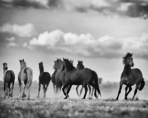 Black And White Horses Flock paint by number