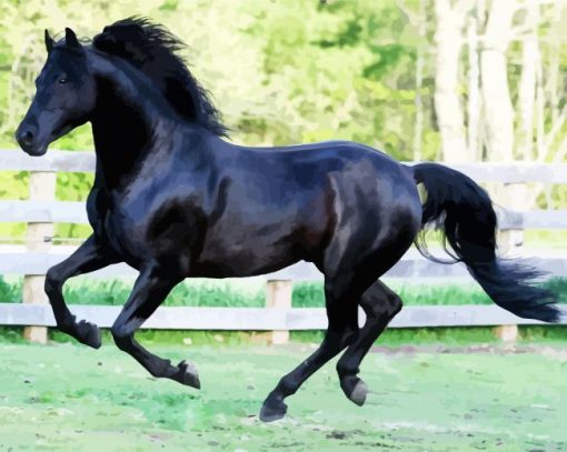Black Morgan Horse paint by numbers