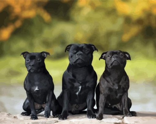Black Staffordshire Bull Terrier Dogs paint by number