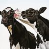 Black And White Cows paint by number