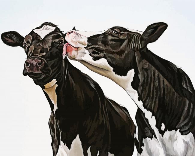 Black And White Cows paint by number