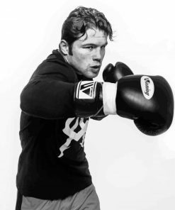 Black And White Canelo paint by numbers