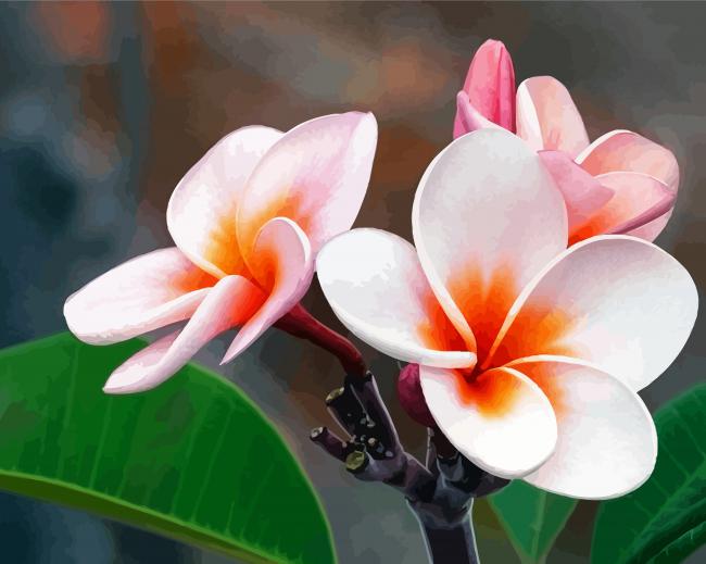 Blooming Plumeria paint by number