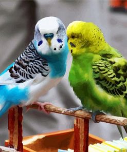 Blue And Green Parakeet Budgerigars paint by number