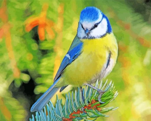 Blue Tit Bird paint by numbers
