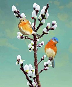Bluebirds On Flowers paint by numbers