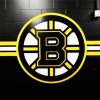 Boston Bruins Logo paint by number