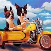 Boston Terrier Riding A Motocycle paint by numbers