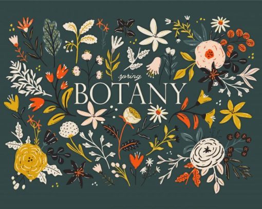 Botany paint by numbers