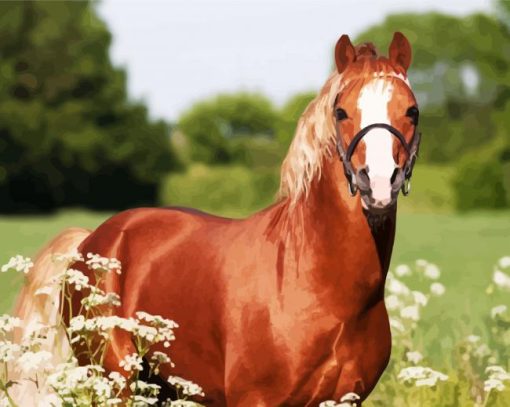 Brown Morgan Horse paint by numbers