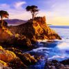 California Monterey Lone Cypress paint by numbers