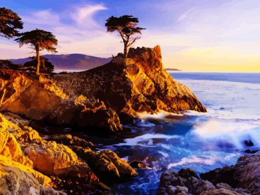 California Monterey Lone Cypress paint by numbers