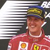 Car Driver Michael Schumacher paint by number