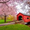 Cherry Blossom Carroll Creek Covered Bridge paint by number