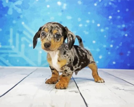 Chiweenie Puppy paint by number