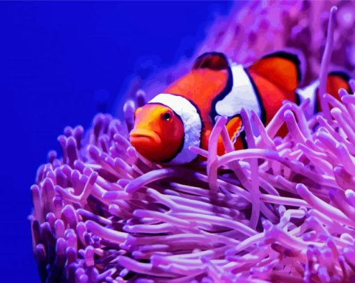 Clown Fish And Anemones paint by numbers
