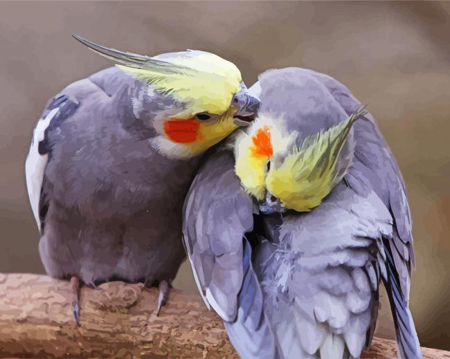 Cockatiel Couple paint by numbers