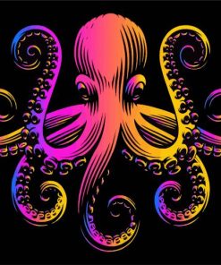 Colorful Octopus paint by number