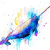 Colors Splash Narwhal paint by number