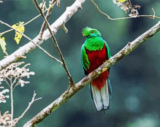 Crested Quetzal Bird paint by number