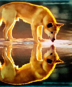 Dingo Reflection paint by numbers